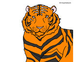 Dibujo Tigre 3 pintado por lulik
