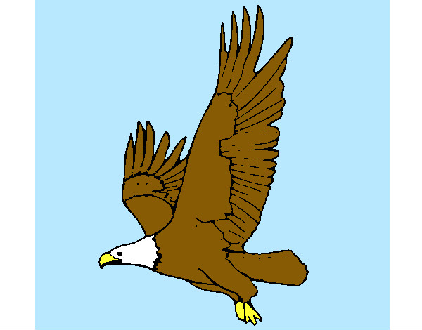 Dibujo Águila volando pintado por ADRIAN7