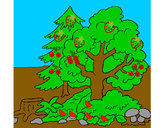 Dibujo Bosque 1 pintado por matiasolea