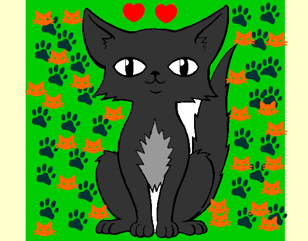 Dibujo Gato persa pintado por ana4