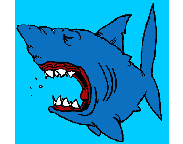 Dibujo Tiburón 1 pintado por enriquez