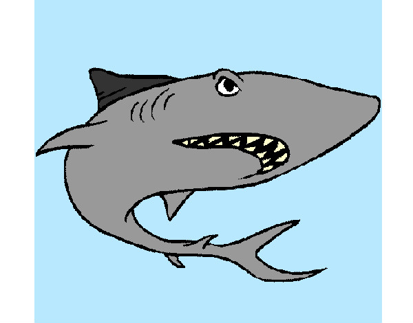 Dibujo Tiburón pintado por alexalbert