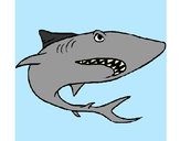 Dibujo Tiburón pintado por alexalbert
