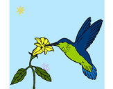 Dibujo Colibrí y una flor pintado por Opuntia