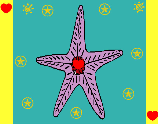 Dibujo Estrella de mar pintado por  liz30