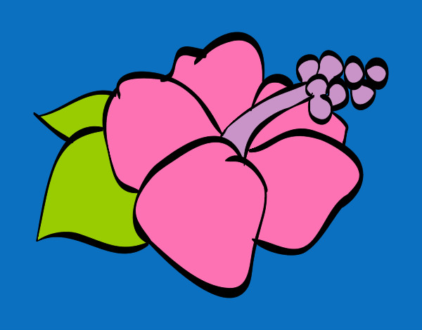 Dibujo Flor de lagunaria pintado por rox_rusher