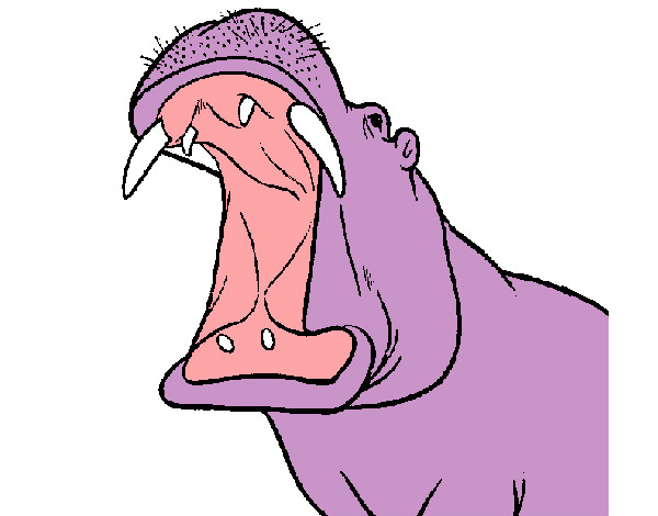 Dibujo Hipopótamo con la boca abierta pintado por linit