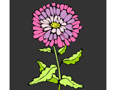 Dibujo Flor 3a pintado por Opuntia