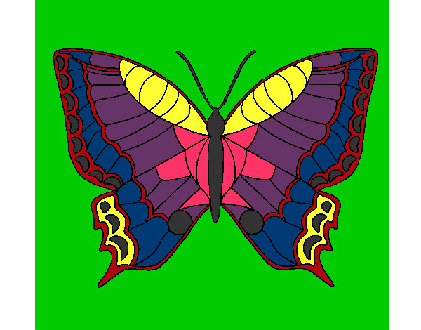 Dibujo Mariposa 16 pintado por cook