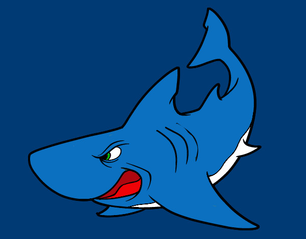 Dibujo Tiburón enfadado pintado por gadiel13