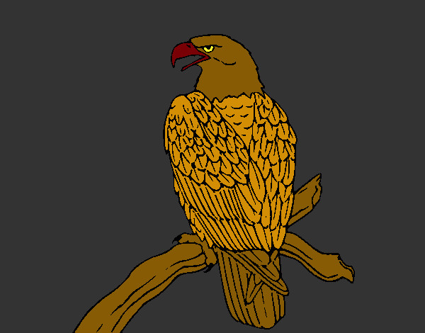 Dibujo Águila en una rama pintado por certycu