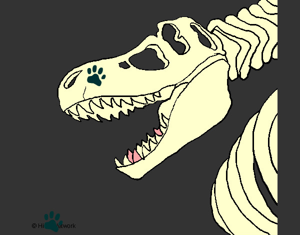 Dibujo Esqueleto tiranosaurio rex pintado por gadiel13