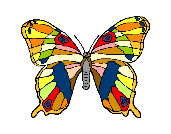 Dibujo Mariposa silvestre pintado por chonis73