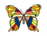 Dibujo Mariposa silvestre pintado por chonis73