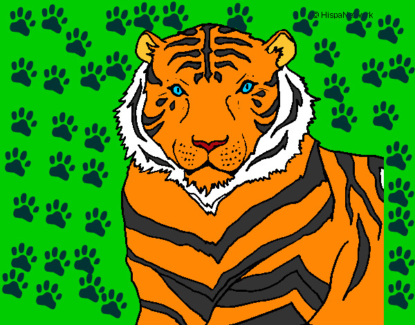 Dibujo Tigre 3 pintado por Renyvaz