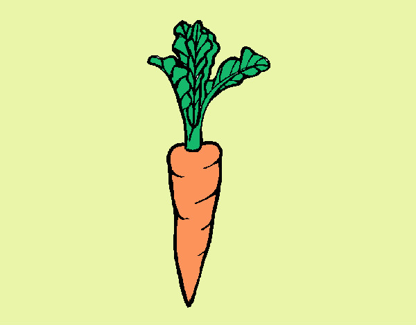 Zanahoria Deliciosa