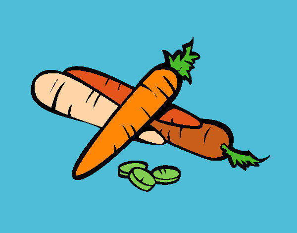 Variedad de zanahorias