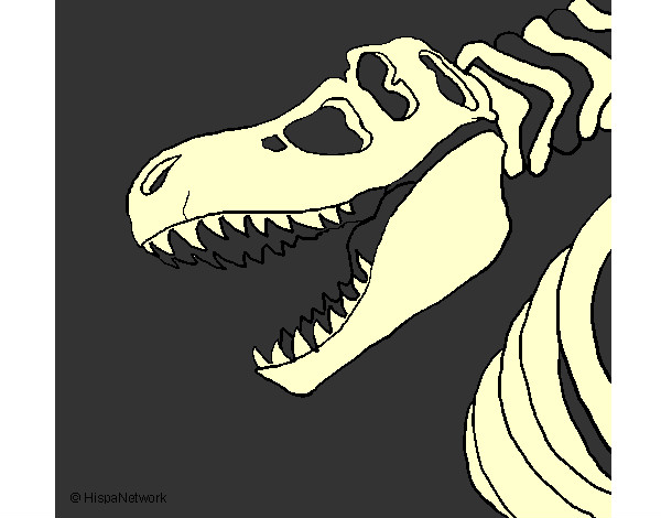 Dibujo Esqueleto tiranosaurio rex pintado por Tobi86
