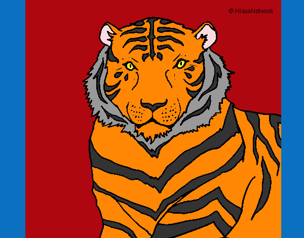 Dibujo Tigre 3 pintado por enanin