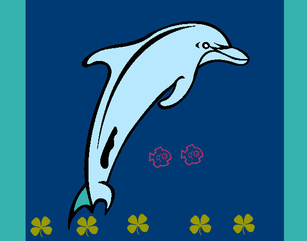 Dibujo Delfín adulto pintado por  macha