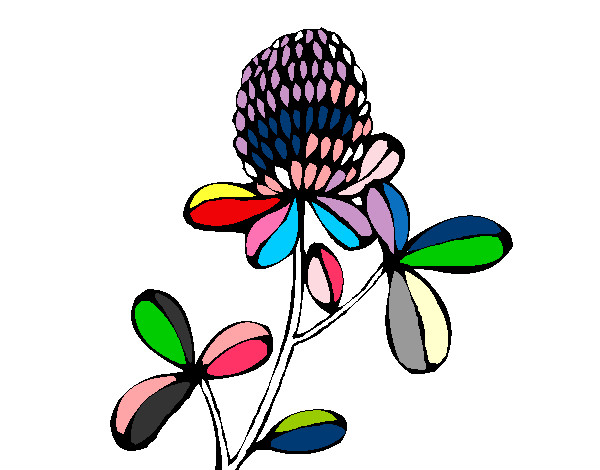Dibujo Flor de bosque pintado por salomeb
