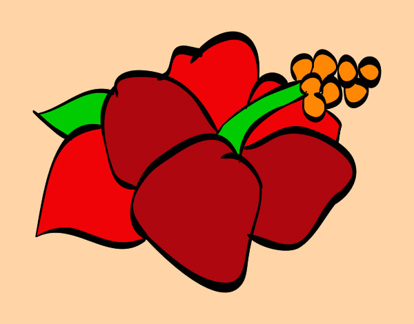 Dibujo Flor de lagunaria pintado por hpna