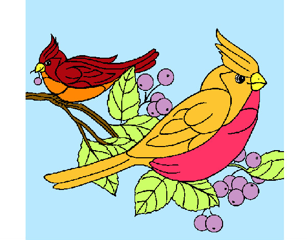 Dibujo Pájaros pintado por luisa123