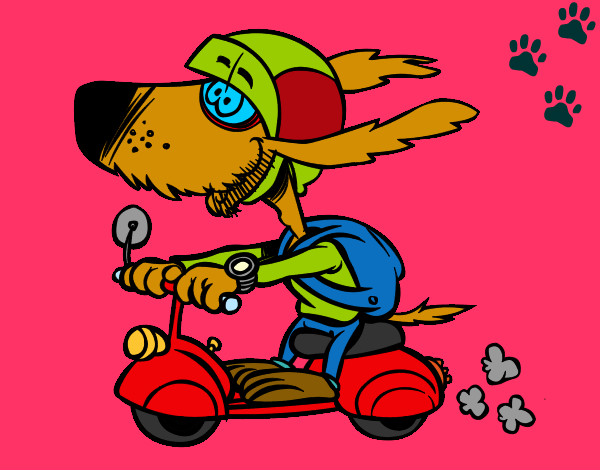Dibujo Perro motorista pintado por florpared