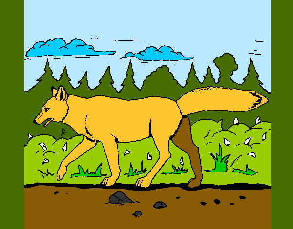 Dibujo Coyote pintado por parda