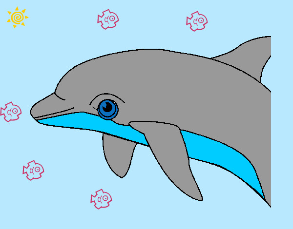 Dibujo Delfín pintado por EDGAR1