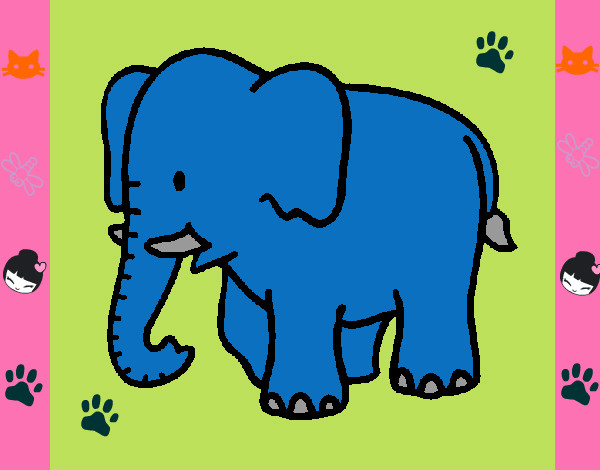 elefantin