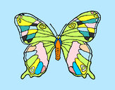 Dibujo Mariposa silvestre pintado por angelitti