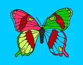 Dibujo Mariposa silvestre pintado por Manus