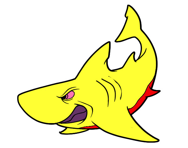 Dibujo Tiburón enfadado pintado por iker17