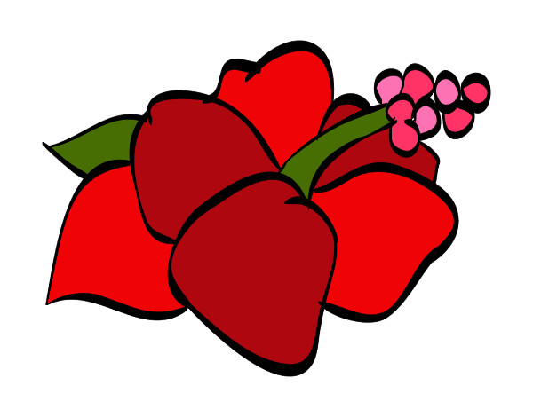 Dibujo Flor de lagunaria pintado por hpna