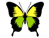 Dibujo Mariposa con alas negras pintado por mandalista