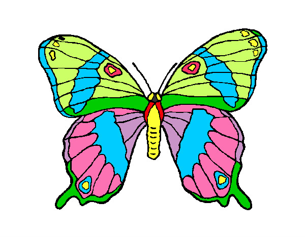 Dibujo Mariposa silvestre pintado por diamileth