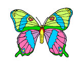 Dibujo Mariposa silvestre pintado por diamileth