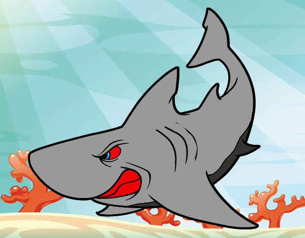 Dibujo Tiburón enfadado pintado por batu14