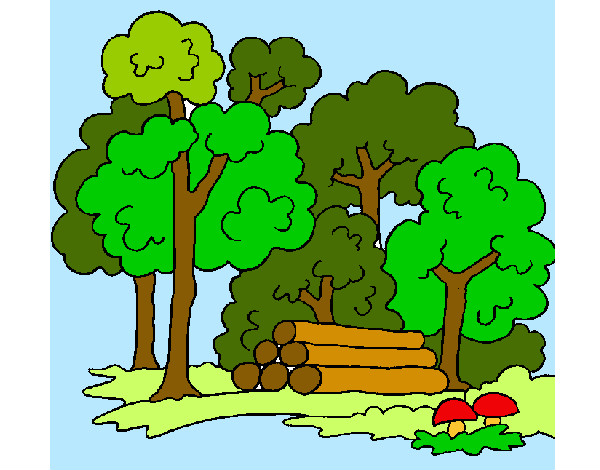 Dibujo Bosque 2 pintado por jeparima