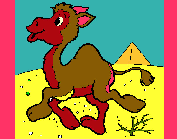 Dibujo Camello 1 pintado por josefarock