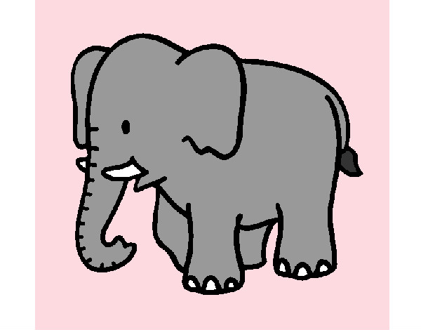 Dibujo Elefante bebe pintado por natahnael