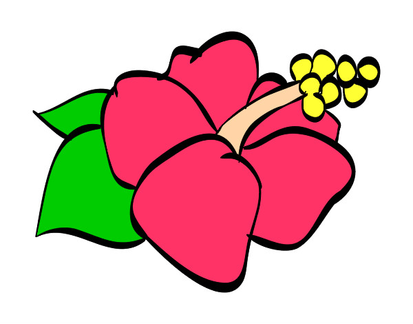 Dibujo Flor de lagunaria pintado por ini2003