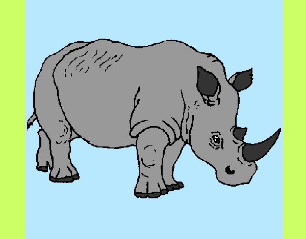 Dibujo Rinoceronte 3 pintado por natahnael