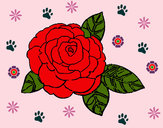 Dibujo Rosa 2 pintado por kittylove