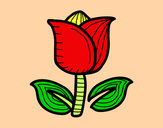 Dibujo Tulipán pintado por xolotl