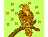 Dibujo Águila en una rama pintado por LARIIZA