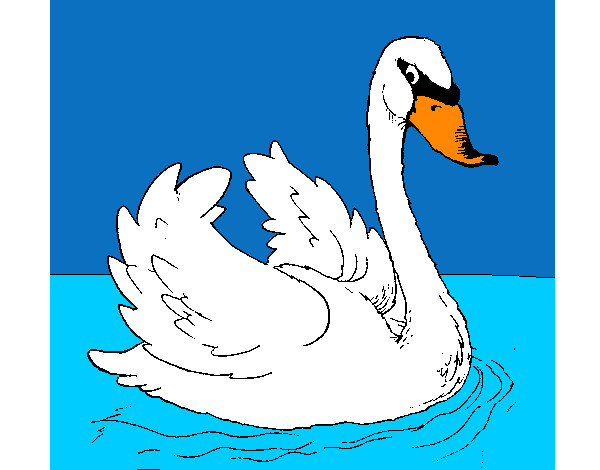 Dibujo Cisne en el agua pintado por 243546