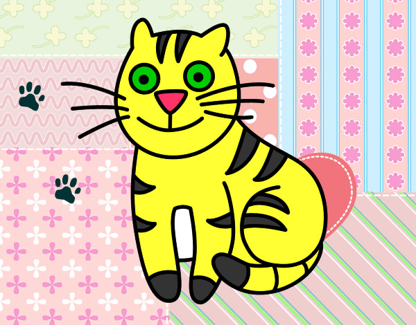 Dibujo Gato simpático pintado por marper