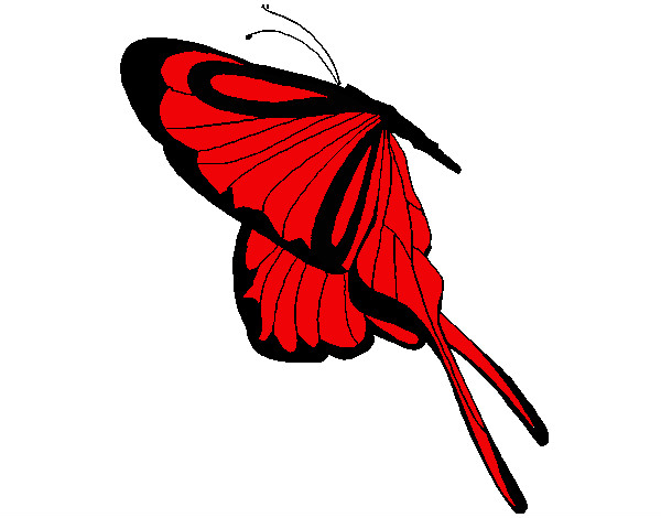 Dibujo Mariposa con grandes alas pintado por dariu